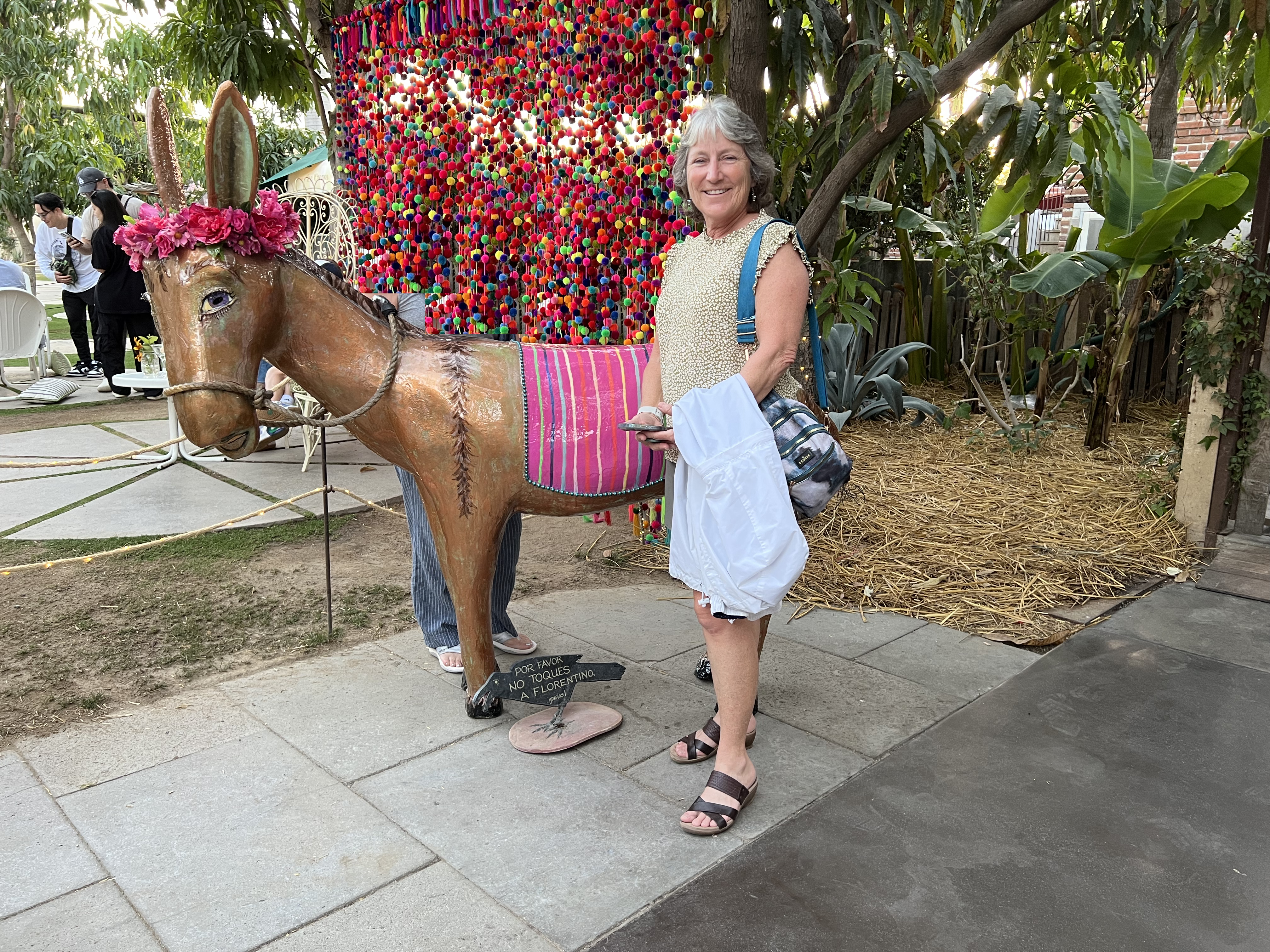 ./2024/13 - Cabo/IMG_4589.jpg